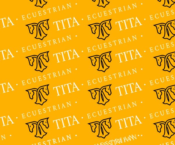 tita-ecuestrian-blogjpg