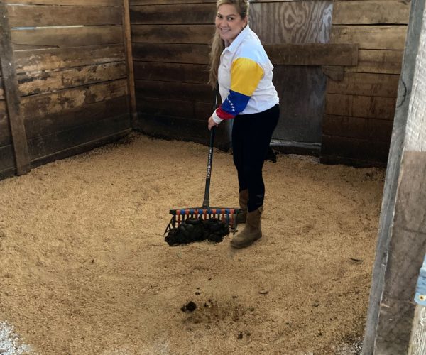stall-cleaning-service